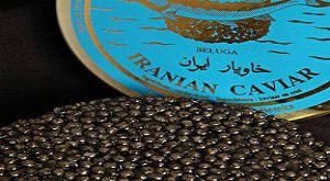 تولید کننده خاویار ایرانی