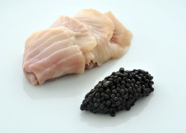 صادرات گوشت ماهی خاویاری