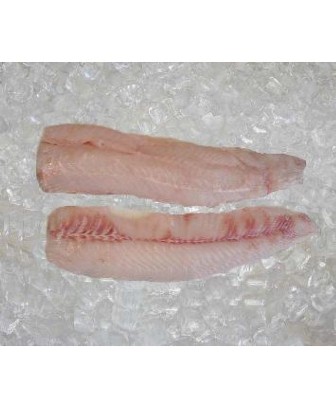 فروش گوشت ماهی خاویاری
